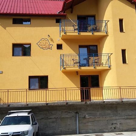 Casa Milos Si Fiul Băile Herculane Zewnętrze zdjęcie